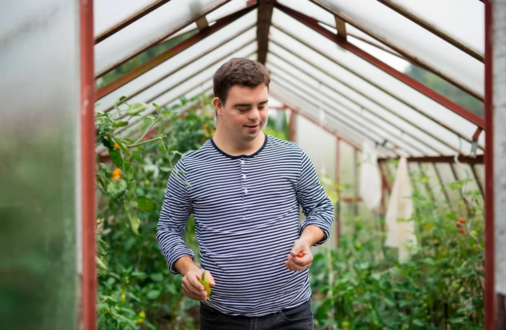 Down syndrome adult man walking in greenhouse, gardening concept.